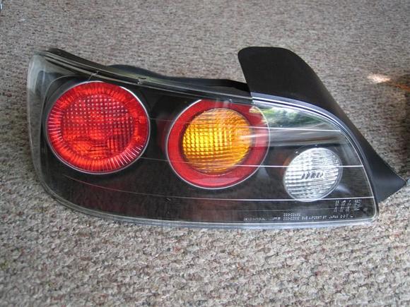 IMG_7003 (Medium).JPG