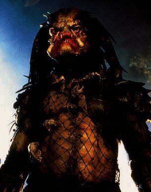 predator.jpg