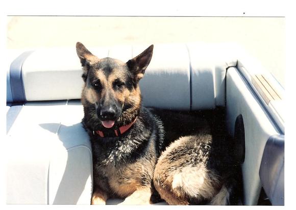Kyras at Havasu May 1993