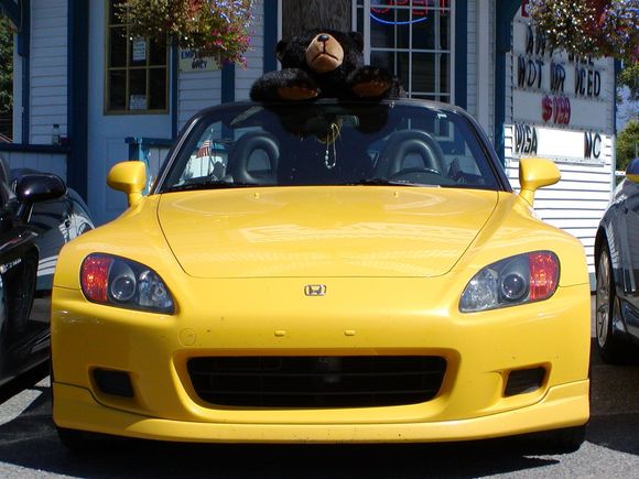 Bear in mom's car.jpg