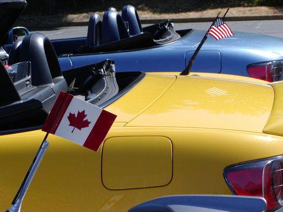 tail flags.jpg