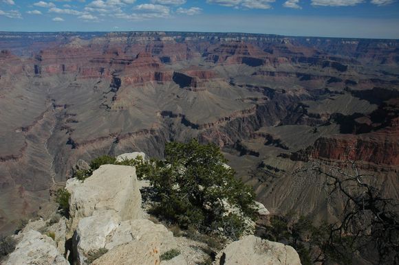 DSC_0390.JPG