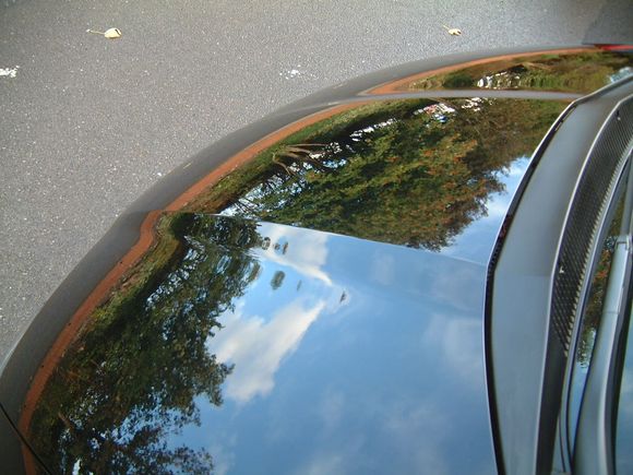 Honda Civic After Bonnet Reflection 1.JPG