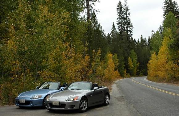 061001 Ss Aspens 1415.JPG