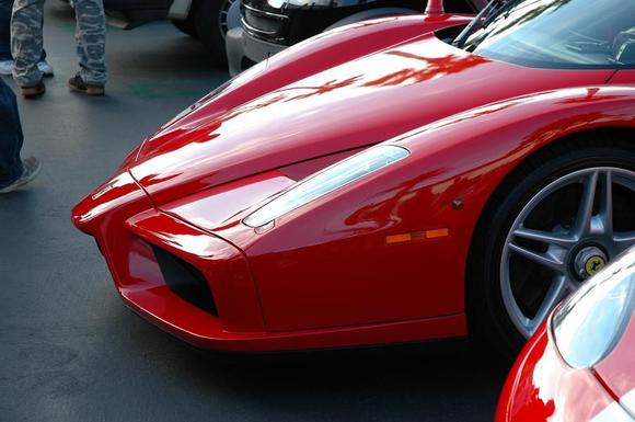 061014 Enzo nose 1792.JPG