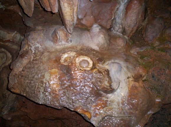 Fried eggs at Luray Caverns