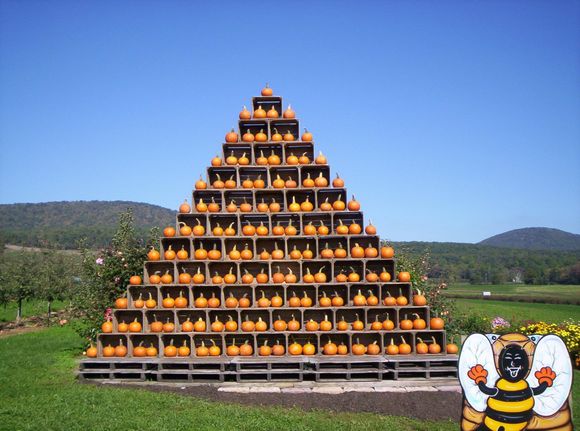 Pumpkin pyramid