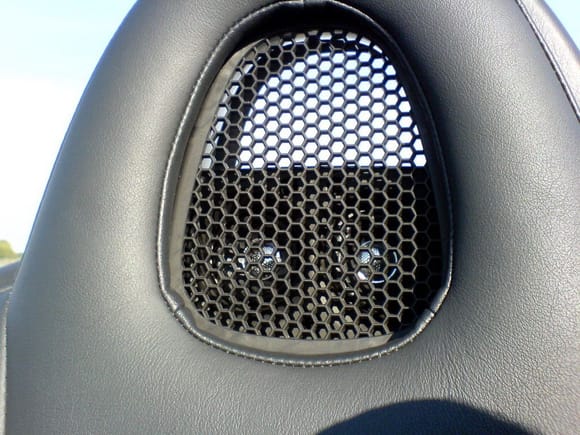 headrest speakers frontview 00002.JPG