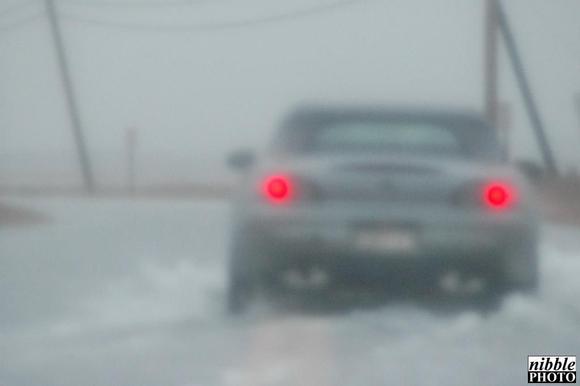 DSC_3465.JPG