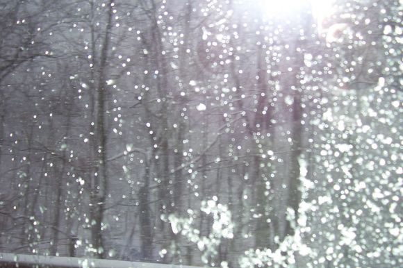 100_0384.JPG