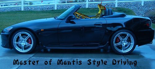 Mantis2.jpg