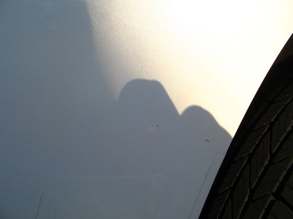 129_2958.JPG