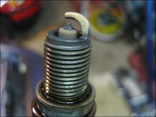 motor-IMG_1105.jpg