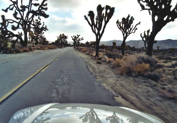 SebringJoshuaTree003.jpg