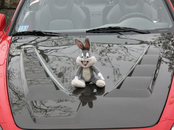 SF07 - bugs.jpg