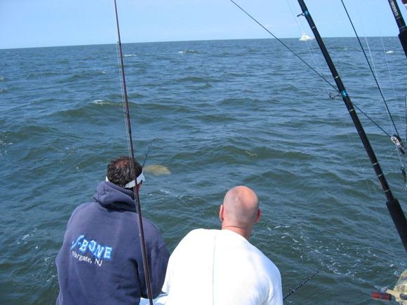 IMG_5256.jpg