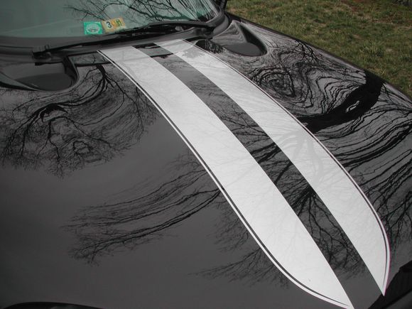 DSCN0448.JPG
