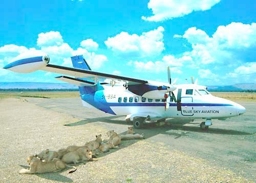 African preflight.jpg