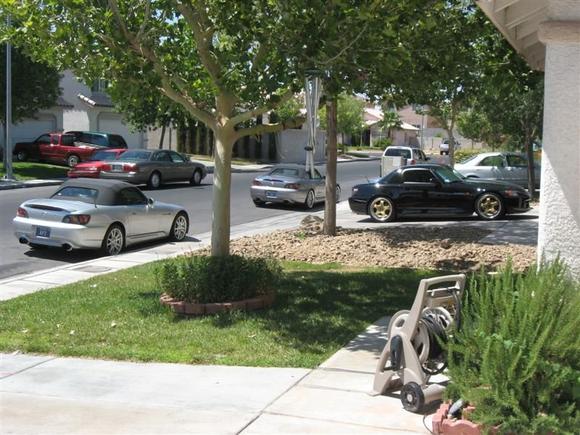 yard shot