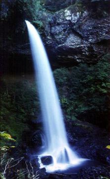 SILVER FALLS 3.jpg