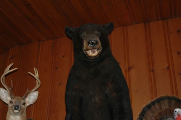 Bear Mount