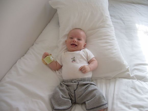 Pad_Ollie_Bed.jpg