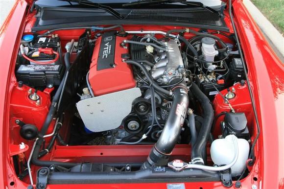 IMG_2987 (Medium).JPG