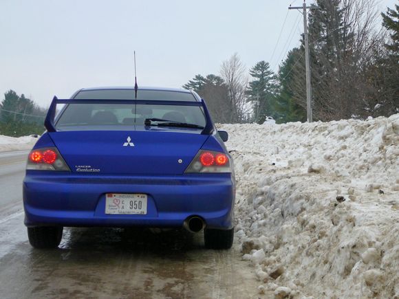 P1030335.jpg