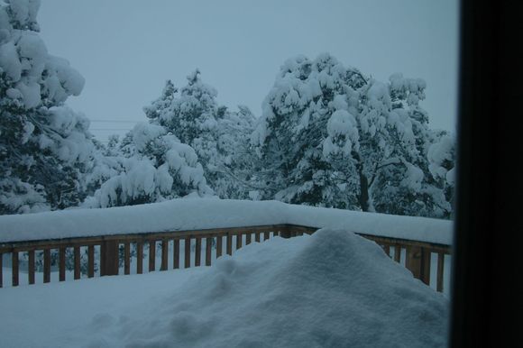 Snow deck 4.jpg