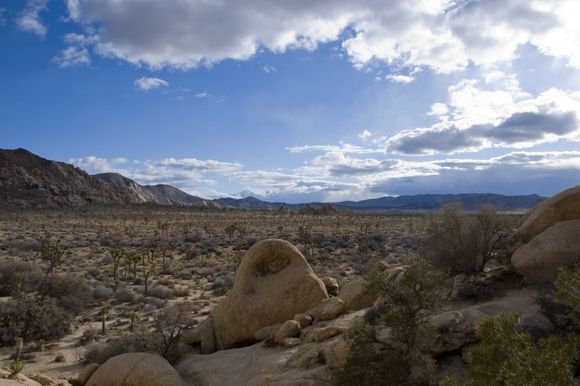 DSC_8910.jpg