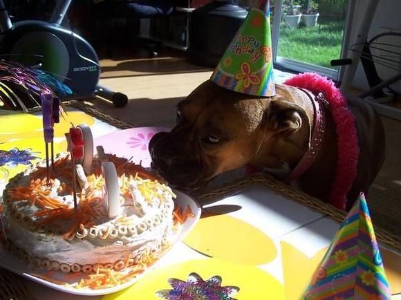 gisele birthday