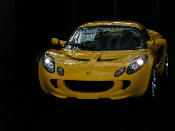 LOTUS.jpg