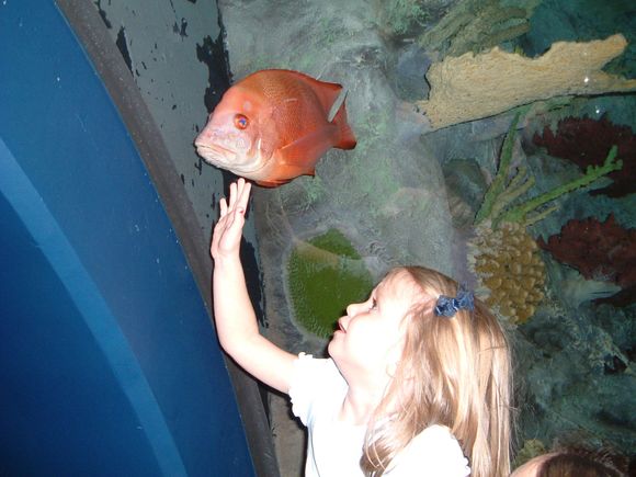Aquarium 3.jpg