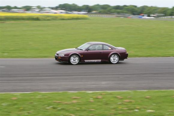 IMG_0074 (Large).JPG