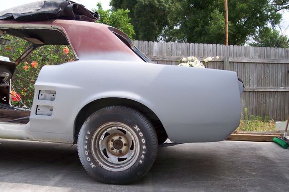 mustangs 001.JPG