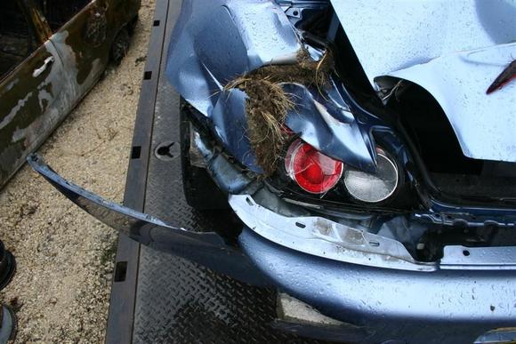 IMG_0784 (Large).JPG