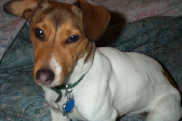 Maggie 011.jpg