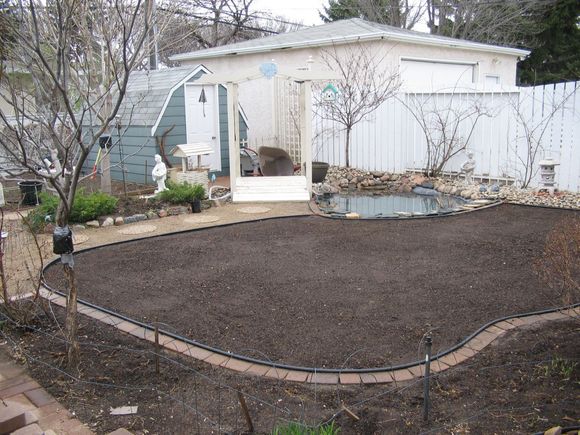Shelley's Yard May 11-08 003.jpg