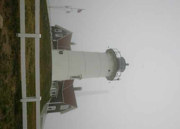 IMG_5401.JPG