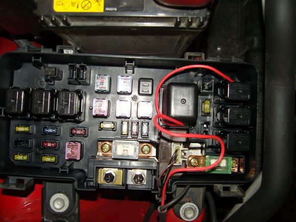 SNC11815.JPG