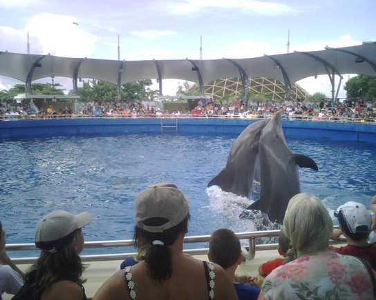 IMG00073.jpg