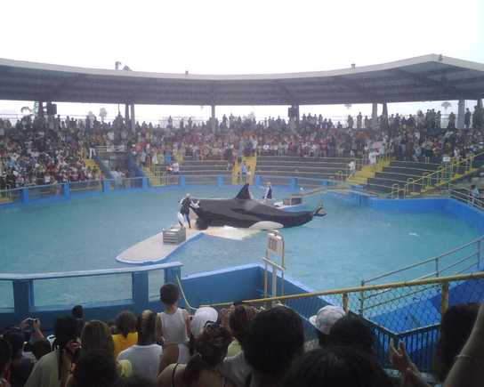 IMG00116.jpg