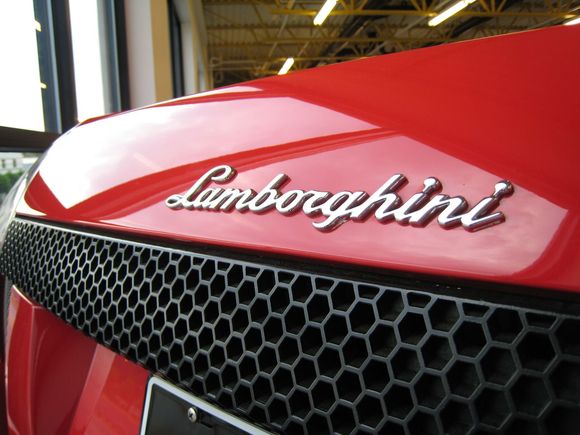 Lambo 8-16-08 027.jpg