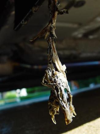 DSC02131 (Medium).JPG