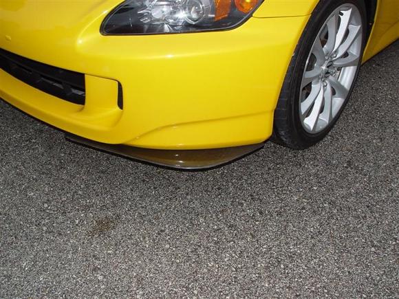 DSC02146 (Medium).JPG