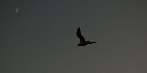 DSC_1398.JPG
