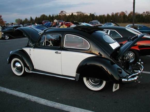 55 Bug.jpg