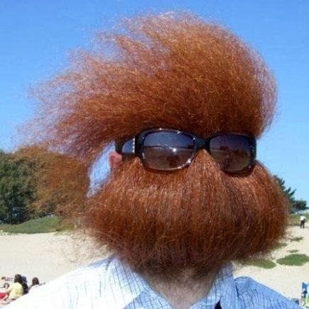 hidininbeard.jpg