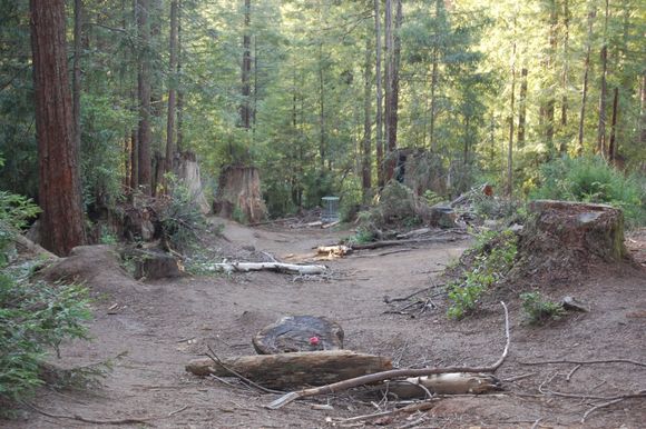 Lots of ground debris...  NO skips!  Must plop it in the