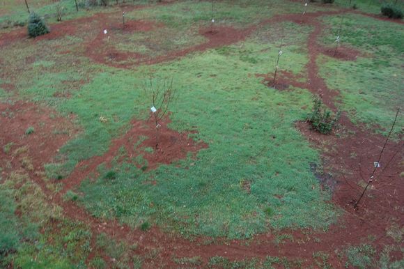 Another shot of the finished closed-loop irrigation through